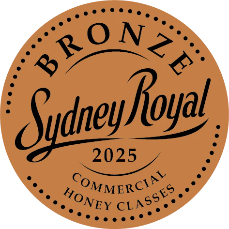 Eucalyptus Cneorifolia - Image 4