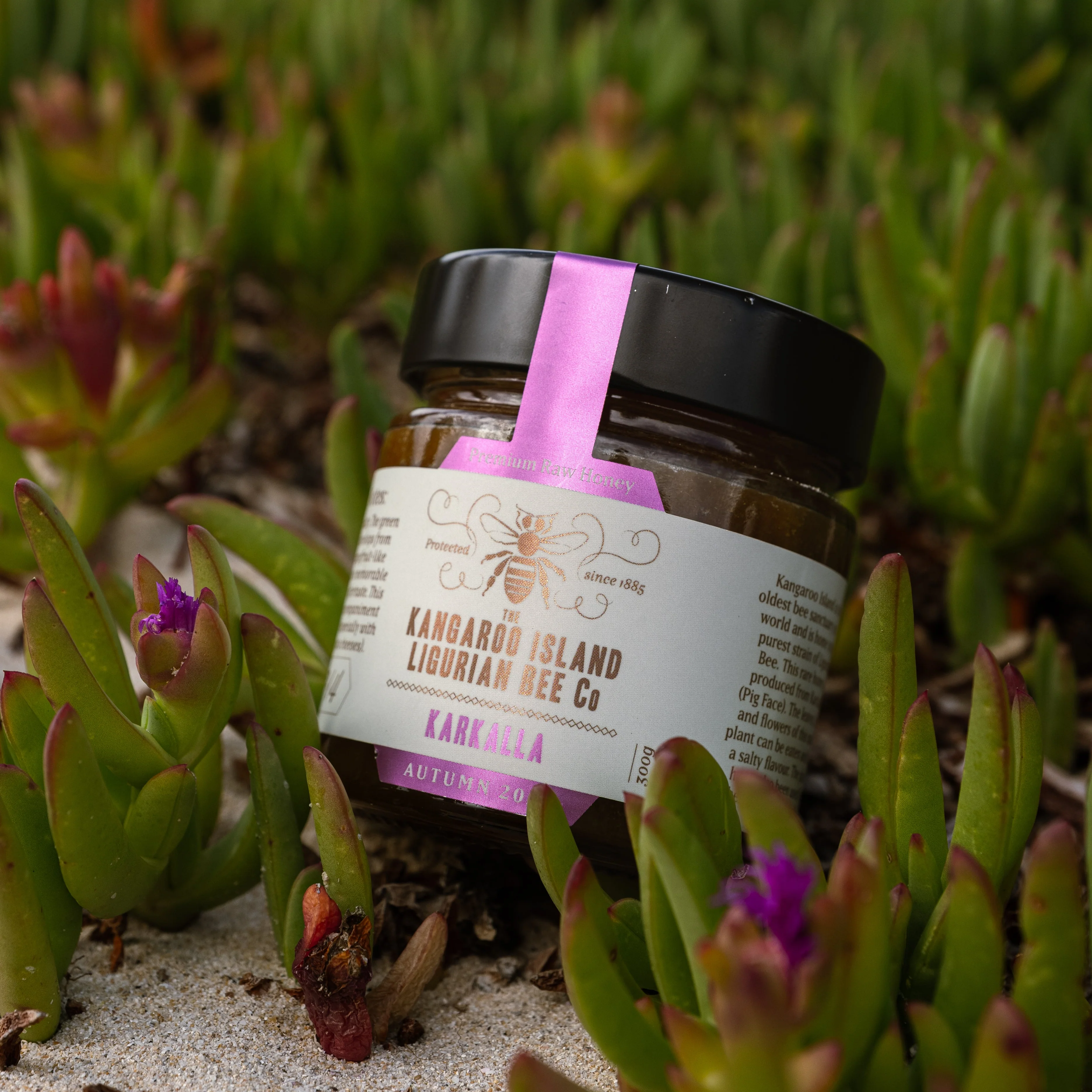 Karkalla Honey - Image 3