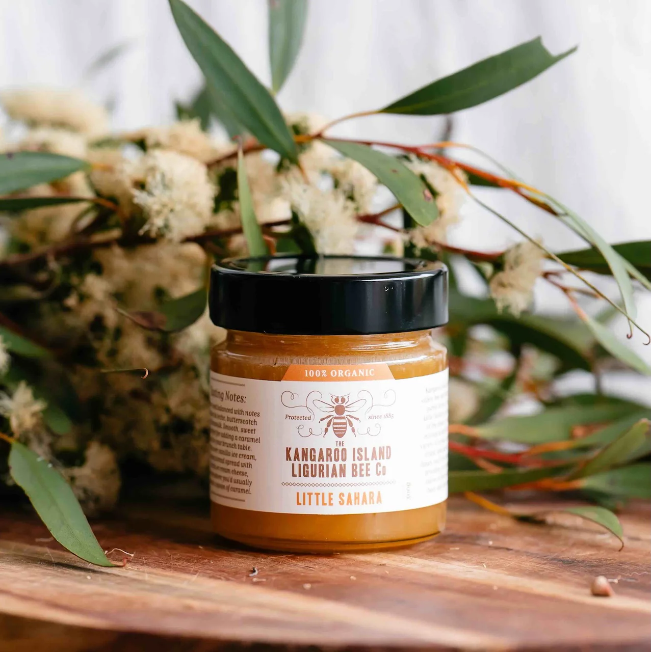 LIMITED EDITION: Little Sahara - Organic - Image 3